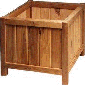galesburgcedarplanter