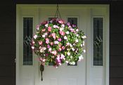 Container gardening