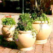Fiberglas garden planter