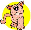 cat drawing
