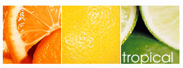 tropical colors