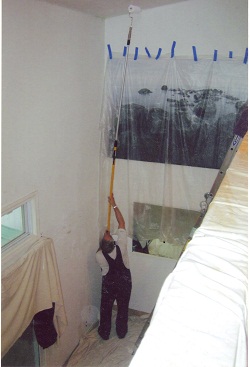 Natural Handyman painting a high wall