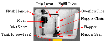 Toilet Cutaway