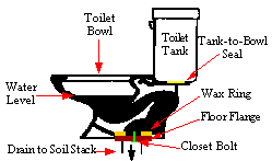 Toilet side view
