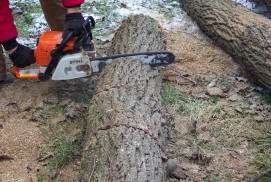 klipp träd på marken halvvägs igenom-rulla sedan loggen